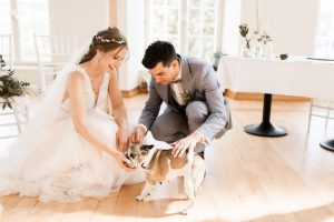 Hochzeitsfotograf Dresden Meißen Trauung Hund
