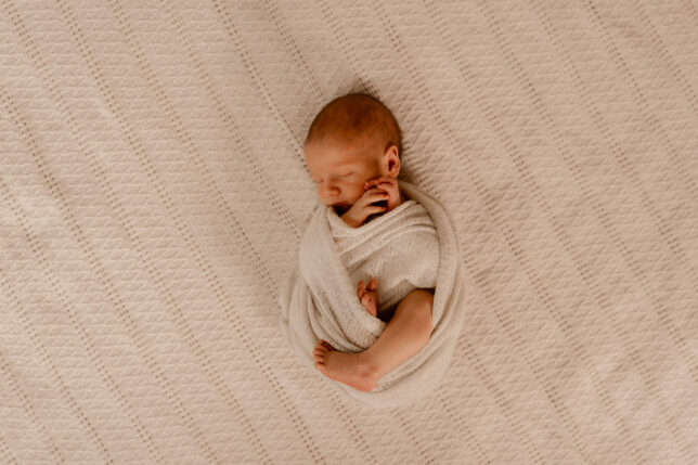Fotograf Dresden, Babyfotograf Dresden, Babyfotoshooting Dresden