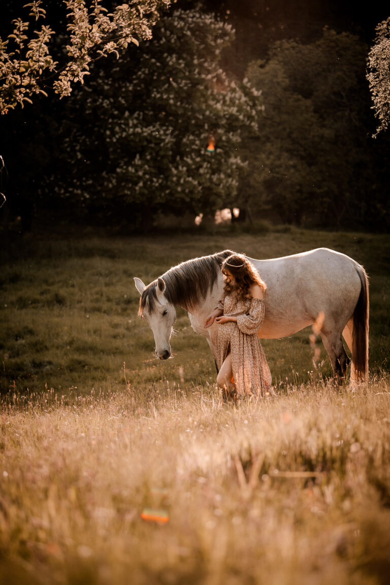 Magie im Abendlicht mit Pferdenase