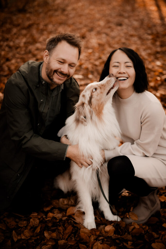 Tierfotografie Dresden, Tierfotos Dresden, Hundefotos Dresden, Hundefotografie Dresden, Fotograf Dresden, Fotoshooting Dresden