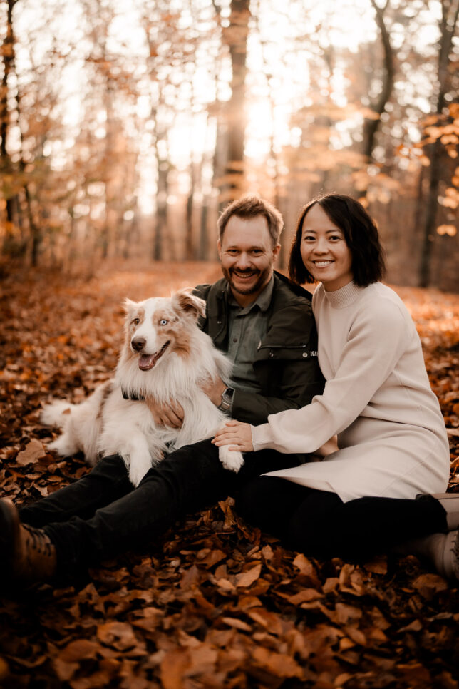 Fotoshooting Dresden, Fotograf Dresden, Hundeshooting Dresden, Hundefotos Dresden, Hundefotoshooting Dresden, Fotoshooting mit Hund Dresden