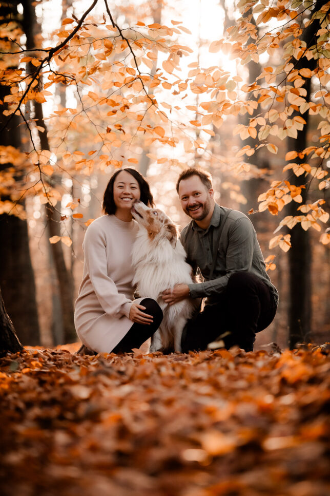 Fotoshooting Dresden, Fotograf Dresden, Hundeshooting Dresden, Hundefotos Dresden, Hundefotoshooting Dresden, Fotoshooting mit Hund Dresden