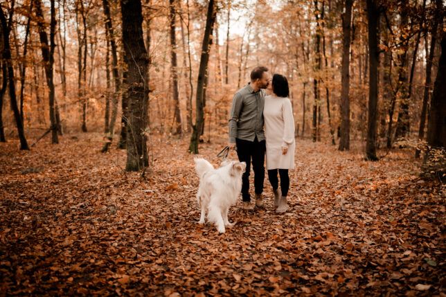 Fotoshooting Dresden, Fotograf Dresden, Hundeshooting Dresden, Hundefotos Dresden, Hundefotoshooting Dresden, Fotoshooting mit Hund Dresden
