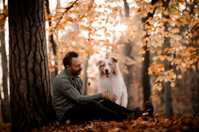 Fotoshooting Dresden, Fotograf Dresden, Hundeshooting Dresden, Hundefotos Dresden, Hundefotoshooting Dresden, Fotoshooting mit Hund Dresden
