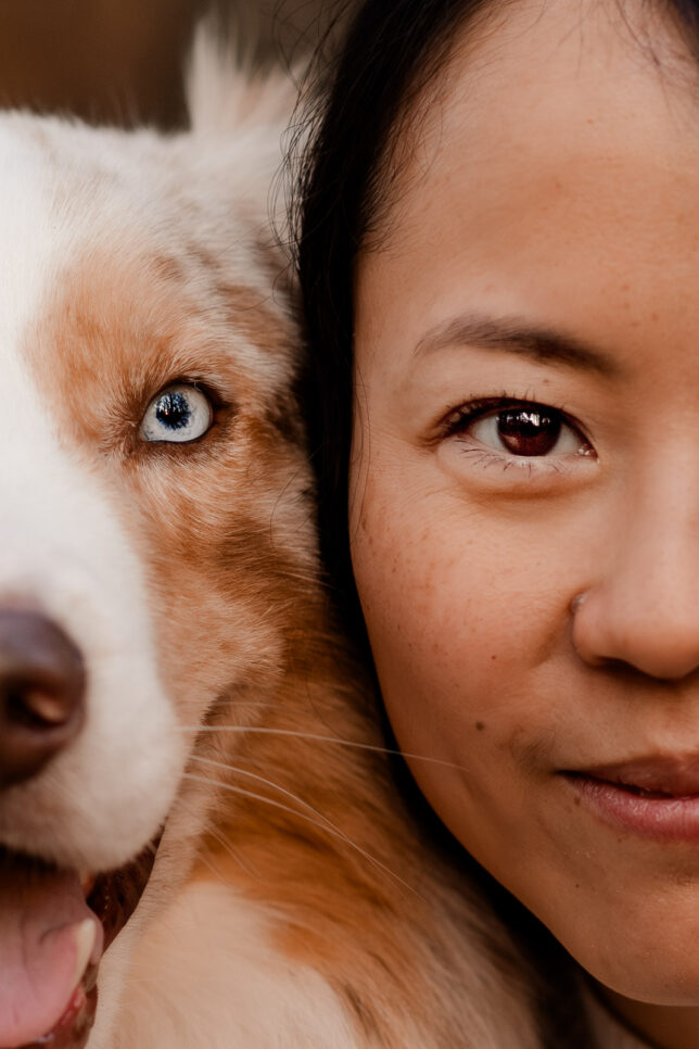 Fotoshooting Dresden, Fotograf Dresden, Hundeshooting Dresden, Hundefotos Dresden, Hundefotoshooting Dresden, Fotoshooting mit Hund Dresden