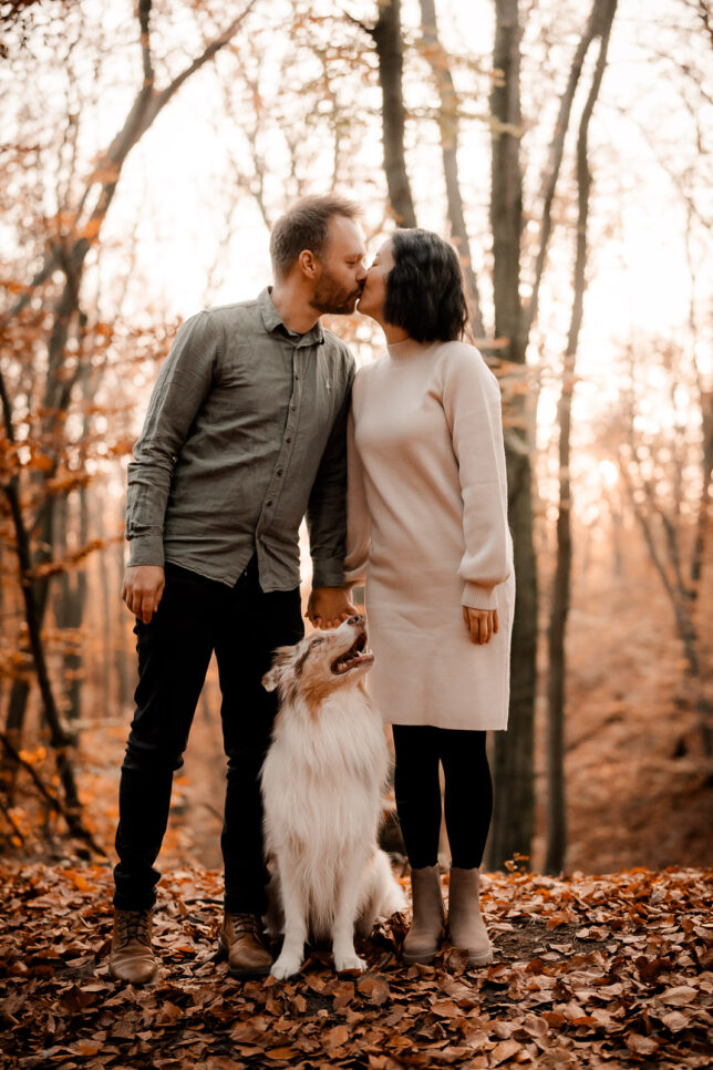 Fotoshooting Dresden, Fotograf Dresden, Hundeshooting Dresden, Hundefotos Dresden, Hundefotoshooting Dresden, Fotoshooting mit Hund Dresden