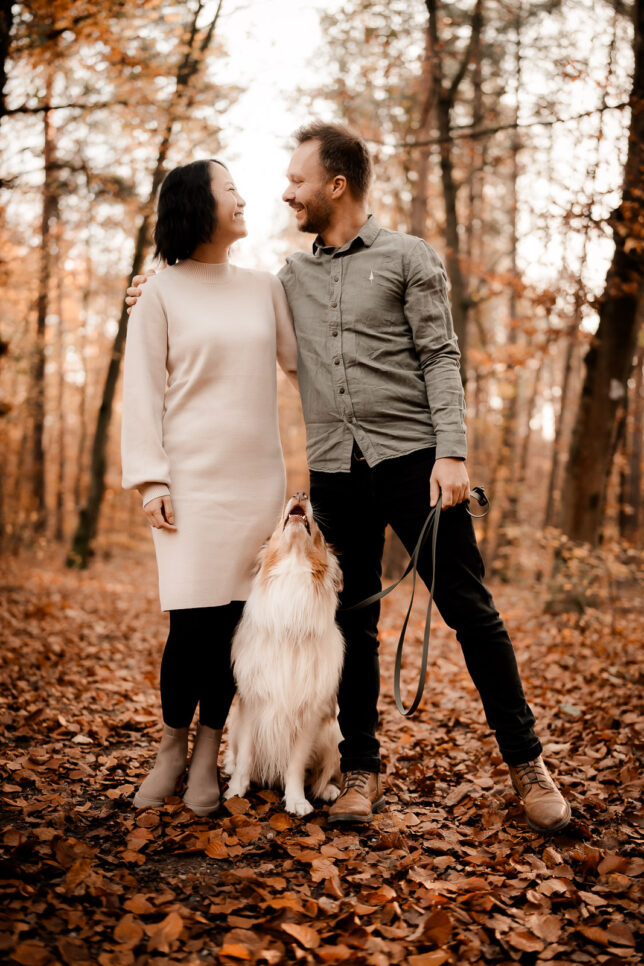 Tierfotograf Dresden, Tierfotos Dresden, Hundefotos Dresden, Hundefotograf Dresden
