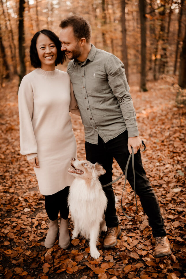 Fotoshooting Dresden, Fotograf Dresden, Hundeshooting Dresden, Hundefotos Dresden, Hundefotoshooting Dresden, Fotoshooting mit Hund Dresden