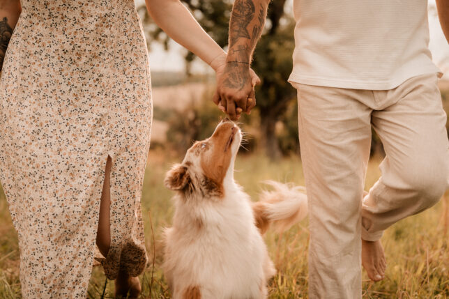 Familienshooting Dresden, Fotograf Dresden, Familienfotograf Dresden, Fotoshooting Dresden, Sommershooting Dresden, Tierfotograf Dresden