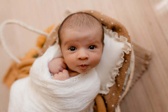 Fotograf Dresden, Newbornshooting Dresden, Neugeborenenfotos Dresden, Babyshooting Dresden, Fotoshooting Dresden
