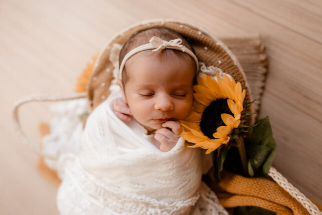 Fotograf Dresden, Newbornshooting Dresden, Neugeborenenfotos Dresden, Babyshooting Dresden, Fotoshooting Dresden