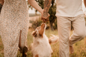 Familienshooting mit Hund Dresden, Fotoshooting Dresden, Fotograf Dresden, Familienfotoshooting Dresden