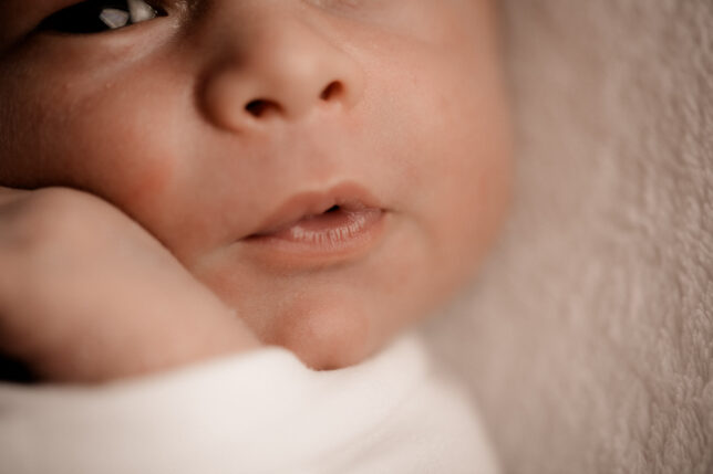 Fotograf Dresden, Newbornshooting Dresden, Neugeborenenfotos Dresden, Babyshooting Dresden, Fotoshooting Dresden