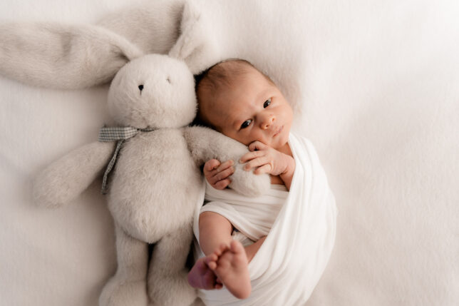 Fotograf Dresden, Newbornshooting Dresden, Neugeborenenfotos Dresden, Babyshooting Dresden, Fotoshooting Dresden