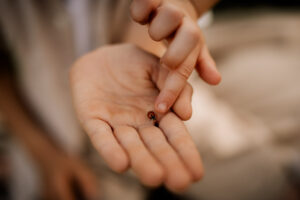 Familienshooting Dresden, Fotoshooting Dresden, Fotograf Dresden, Familienfotos Dresden