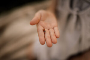 Familienshooting Dresden, Fotoshooting Dresden, Fotograf Dresden, Familienfotos Dresden