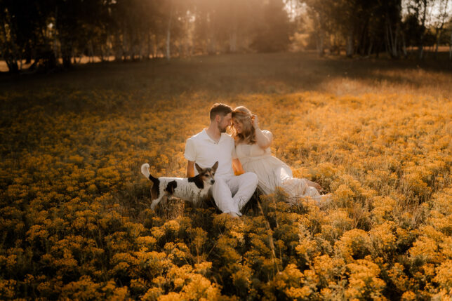 Babybauchshooting Dresden, Babybauchfotos Dresden, Fotoshooting Dresden, Fotograf Dresden, Babybauchfotografie Dresden, Babybauchfotograf Dresden
