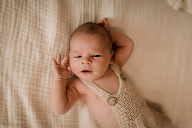 Newbornfotos Dresden, Neugeborenenfotos Dresden, Newbornfotografie Dresden, Babyfotograf Dresden, Fotoshooting Dresden, Newbornshooting Dresden, Fotograf Dresden