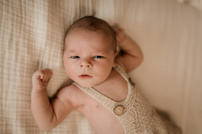 Newbornfotos Dresden, Neugeborenenfotos Dresden, Newbornfotografie Dresden, Babyfotograf Dresden, Fotoshooting Dresden, Newbornshooting Dresden, Fotograf Dresden