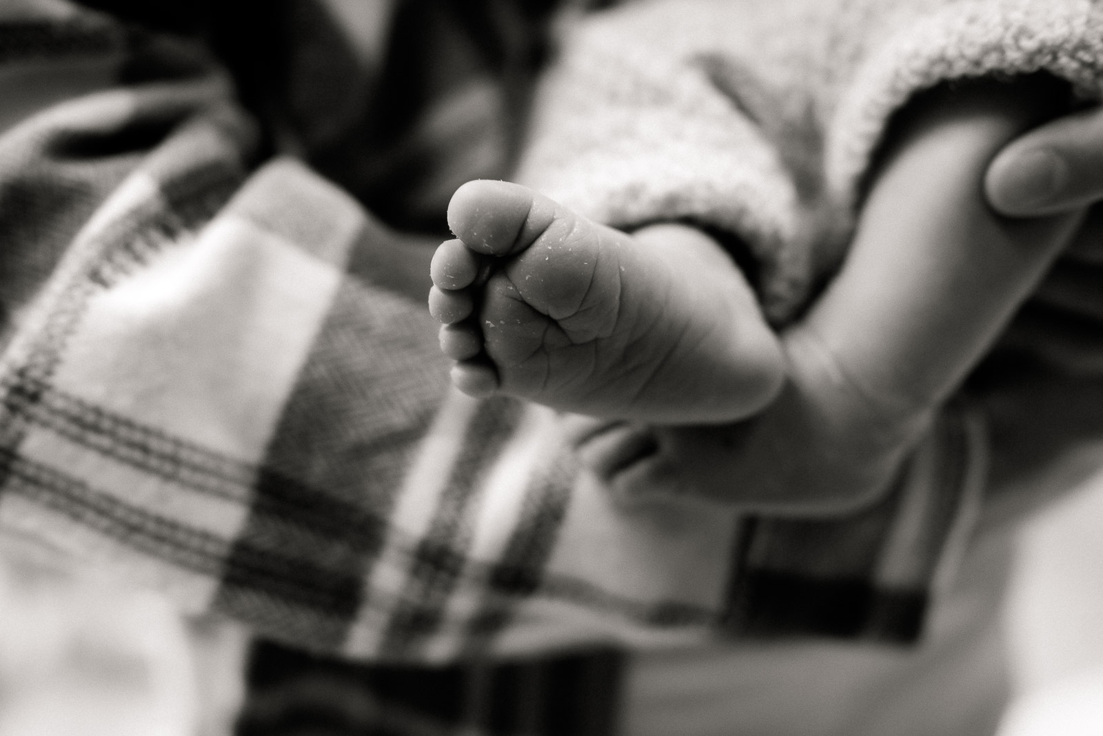 Newbornfotos Dresden, Neugeborenenfotos Dresden, Newbornfotografie Dresden, Babyfotograf Dresden, Fotoshooting Dresden, Newbornshooting Dresden, Fotograf Dresden